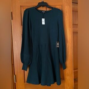Express Dress Medium Fit Flare Short Whimsy Emerald Green Academia Earthy Long